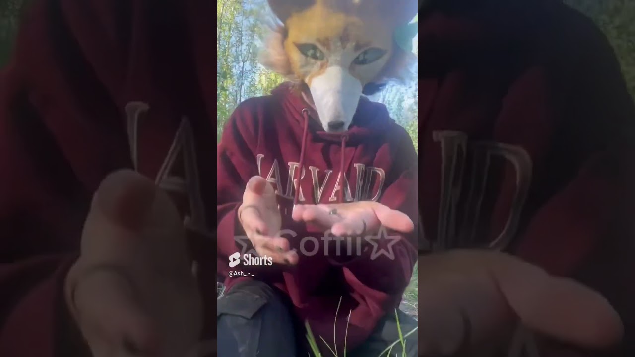 We only live this live once. Let&rsquo;s enjoy it. #antizoo #therian #furries #therianthropy #wolftherian