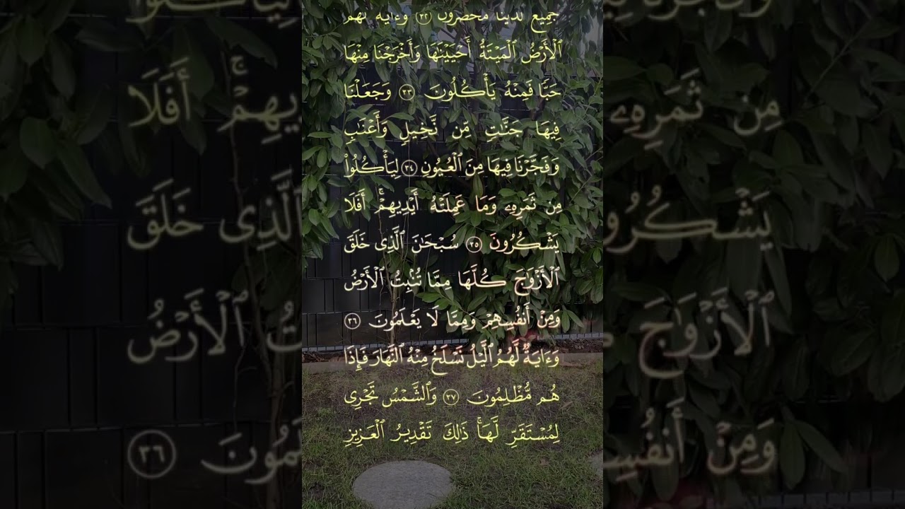 سوره يس •	قلب القرآن «إن لكل شيءٍ قلبًا، وقلبُ القرآن يس🌹Die Sure Ya-Sin capcut
