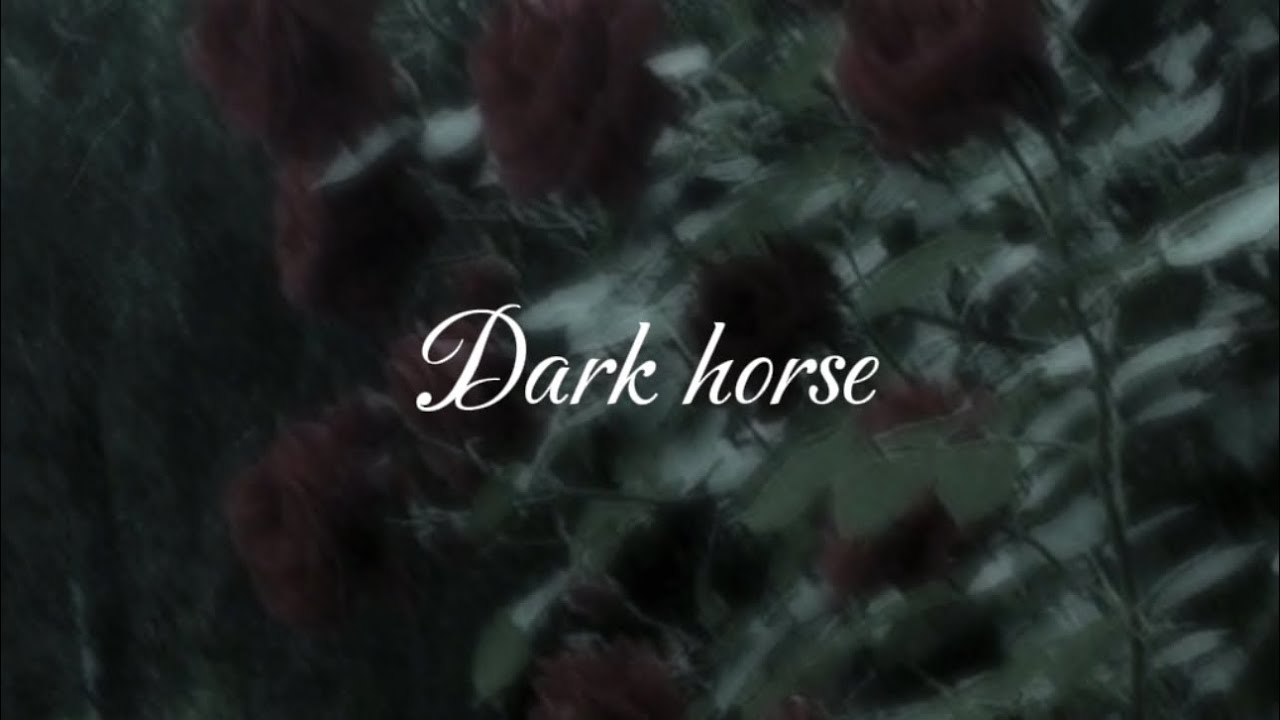 Katy perry - Dark Horse (slowed + reverb)