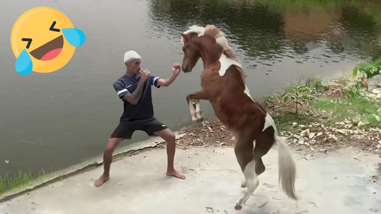 Try Not To Laugh 🤣 Top 100 Funniest Videos Ever 😂 | Funny Videos Compilation 2026 #6