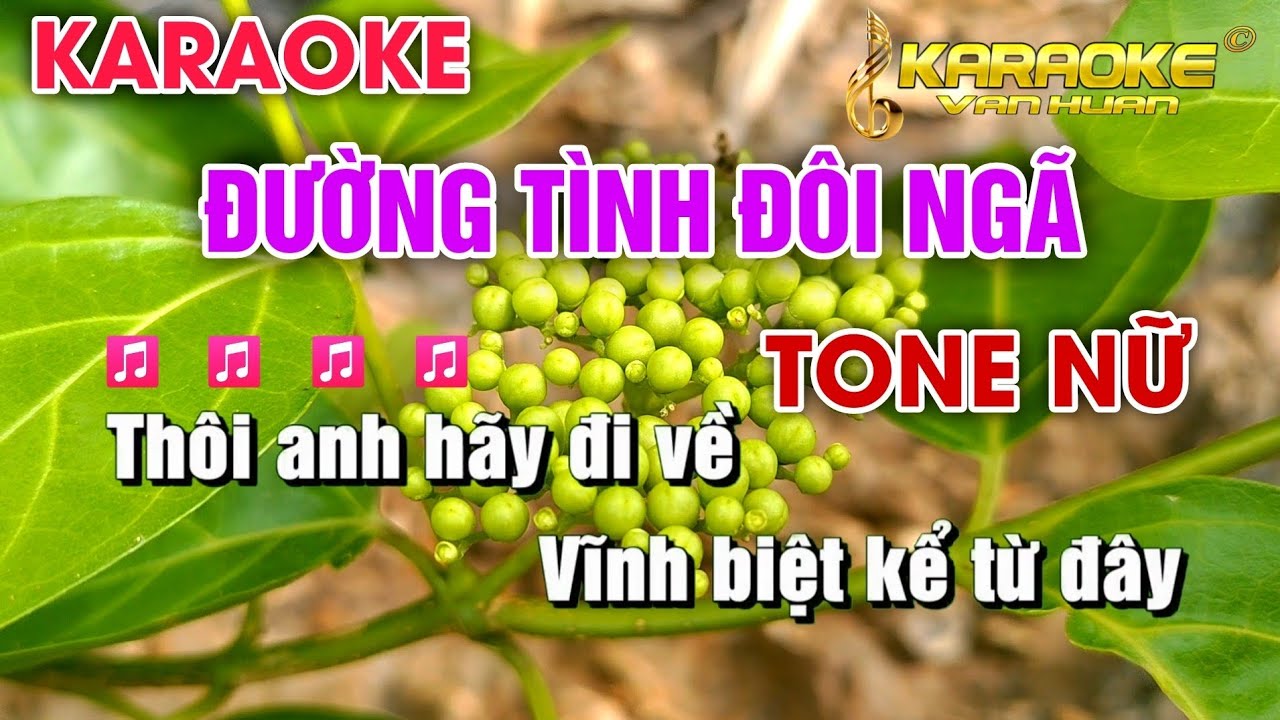 Đường Tình Đôi Ngã | Karaoke Tone Nữ Beat Dễ Hát | Karaoke Văn Huấn Bolero