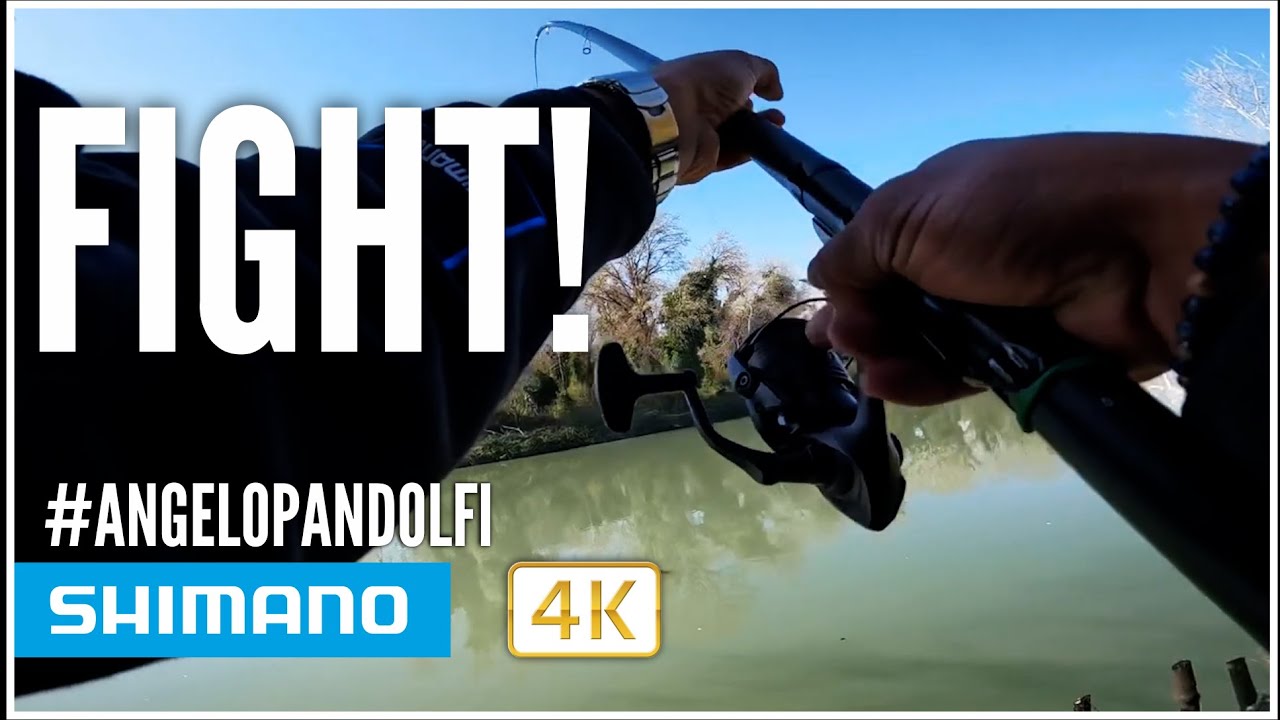 New Shimano Bolo Aero X5 - Epic Fight!