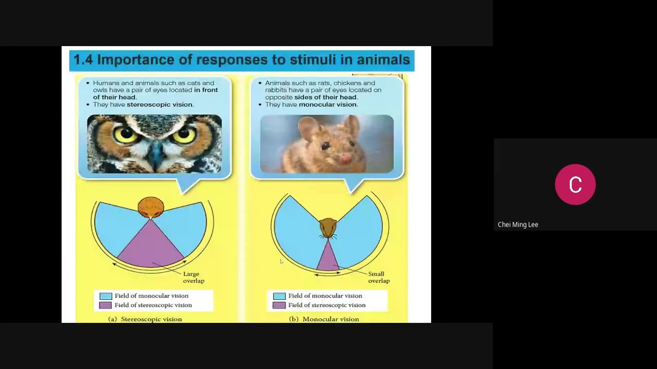 F3 Science 2023 04 18 18 32 GMT+8