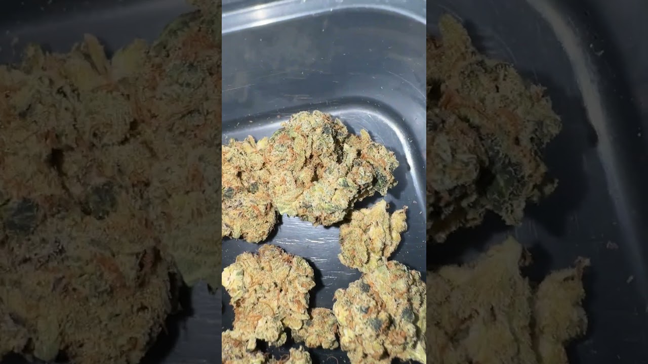Upstate GB T23 - Grape Burger 🍇🍔 ( UK Medical Cannabis Look At! )