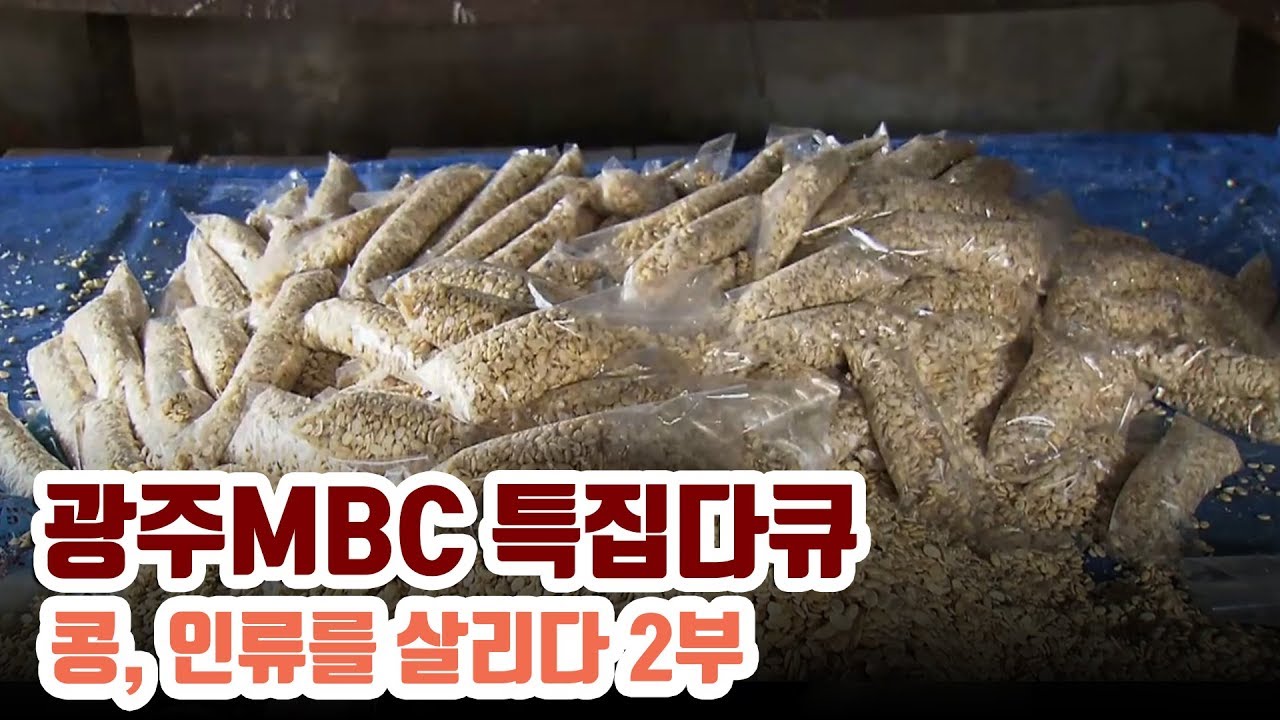아프리카, 아프가니스탄 콩을 통해 기아를 해결하다  Soybean Road [다큐 콩, 인류를 살리다 2부]