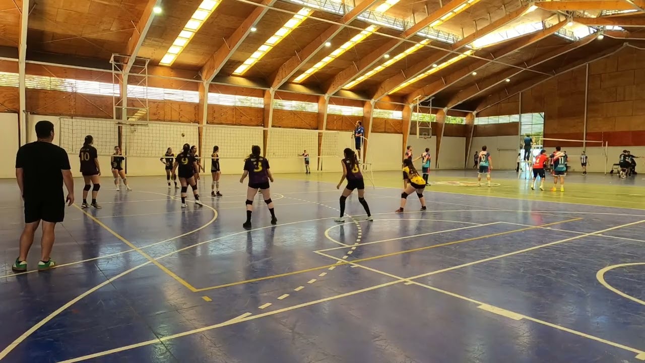 partidos