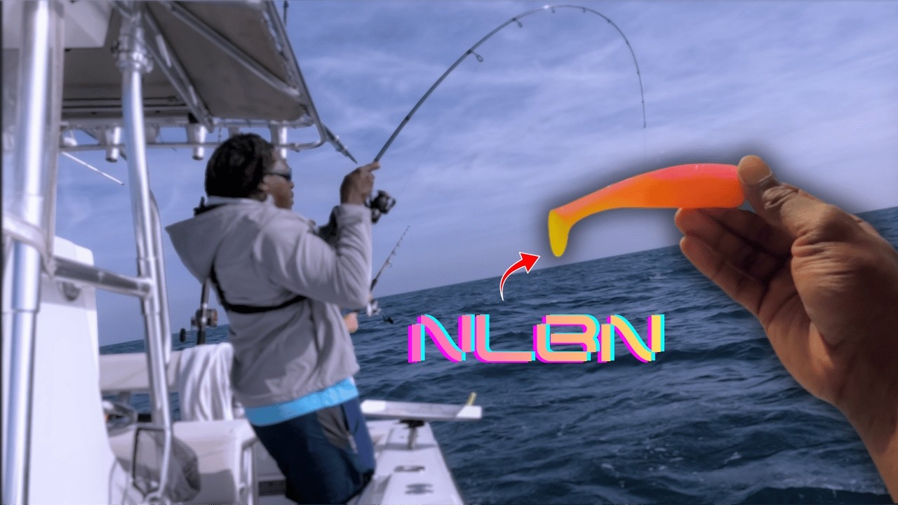Я подключил этот NLBN, и он был уничтожен | Озеро Атлантик