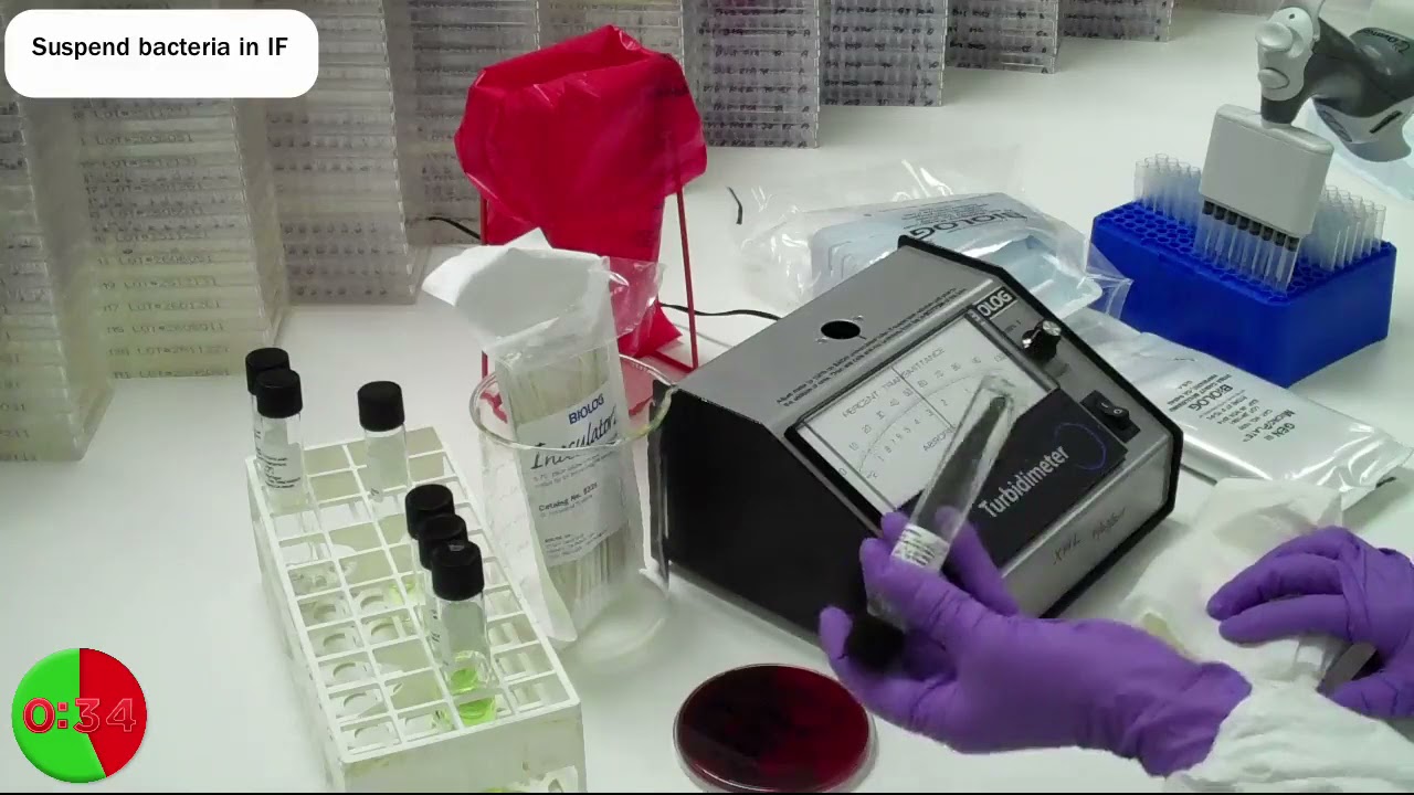 GEN III Microbial Identification Assay Protocol