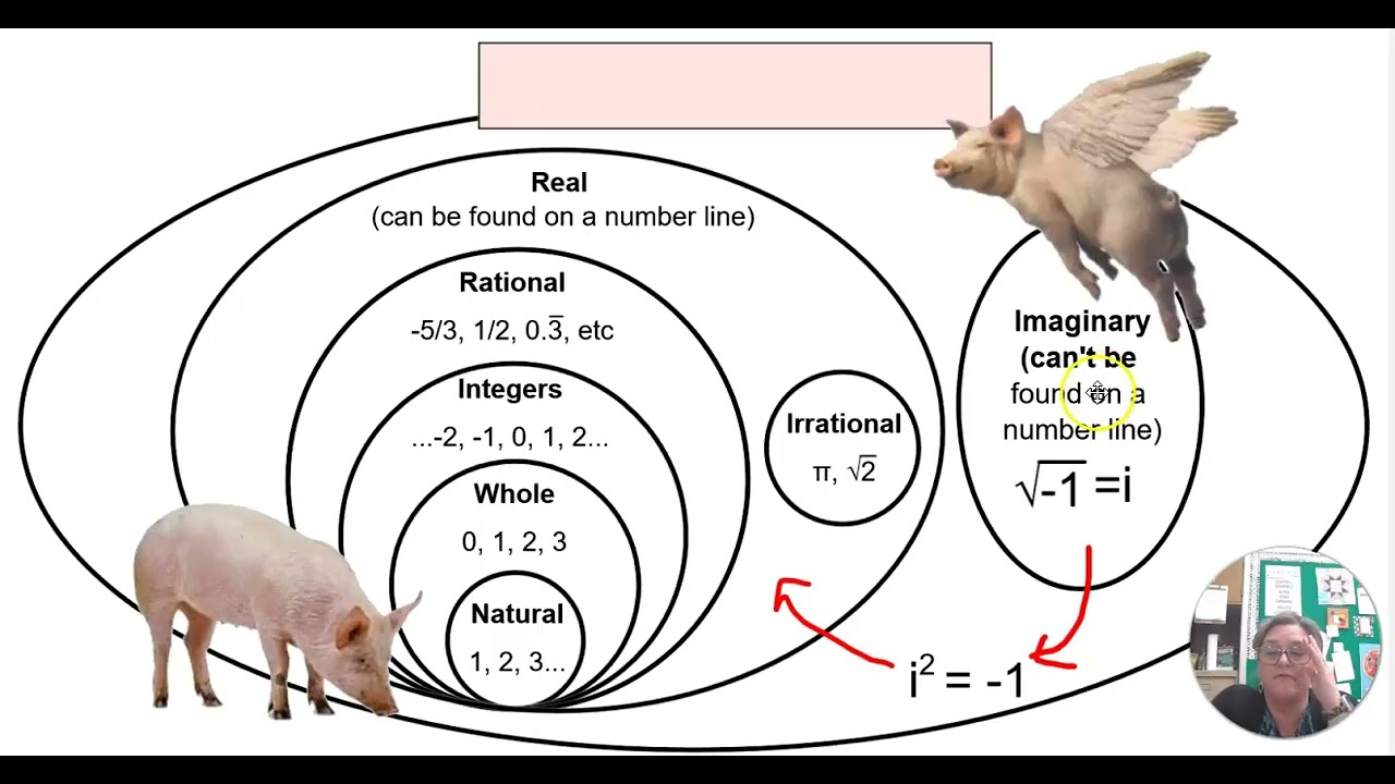 U5L8 The Complex Number System