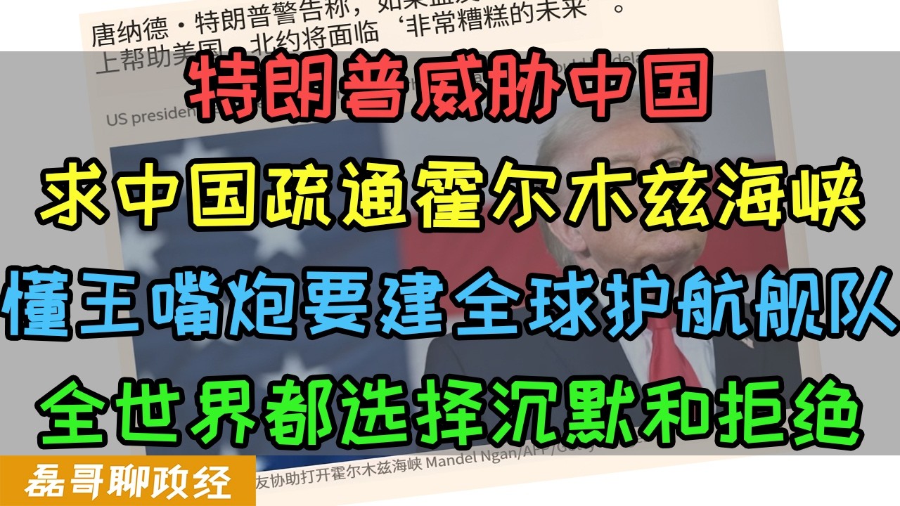 特朗普威胁中国！求中国帮忙疏通霍尔木兹海峡！如果中国拒绝就推迟访问中国、特朗普声称要建全球护航舰队，结果全世界都选择沉默和拒绝，德国表态：美伊冲突和北约无关