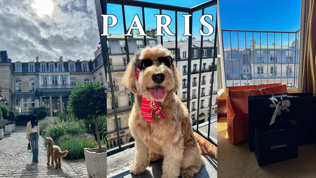 Paris vlog from NYC 뉴욕에서 파리 | 파리 브이로그 | 에르메스 스페셜오더 | 샤넬 쇼핑  | 파크하얏트 방돔 | 강아지와 파리 | 파리쇼핑