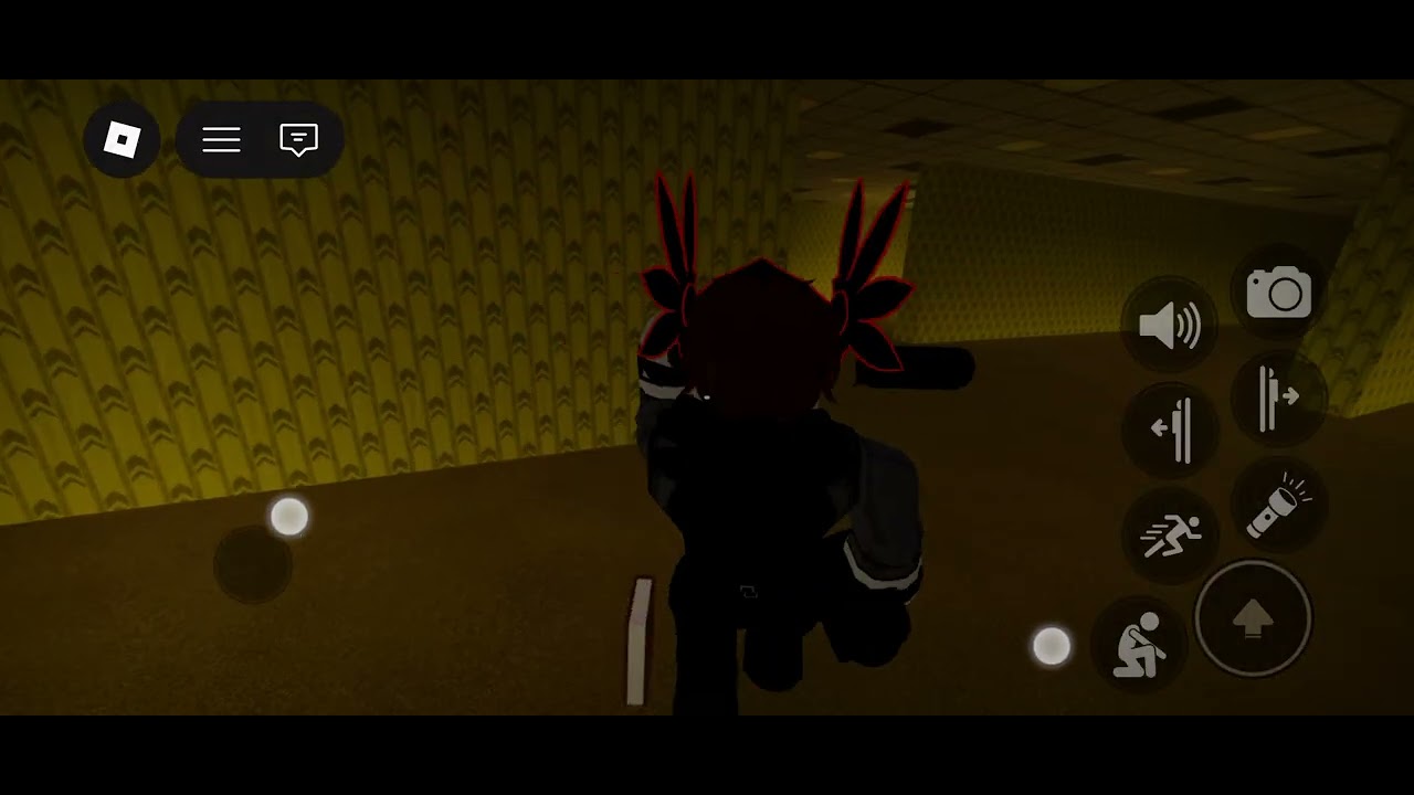 Playing apeirophobia with my friends
