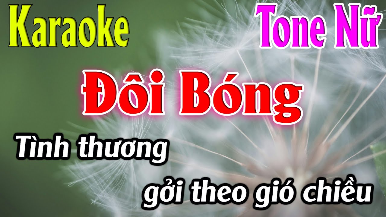 Đ&ocirc;i B&oacute;ng Karaoke Tone Nữ ( Em ) Karaoke L&acirc;m Organ