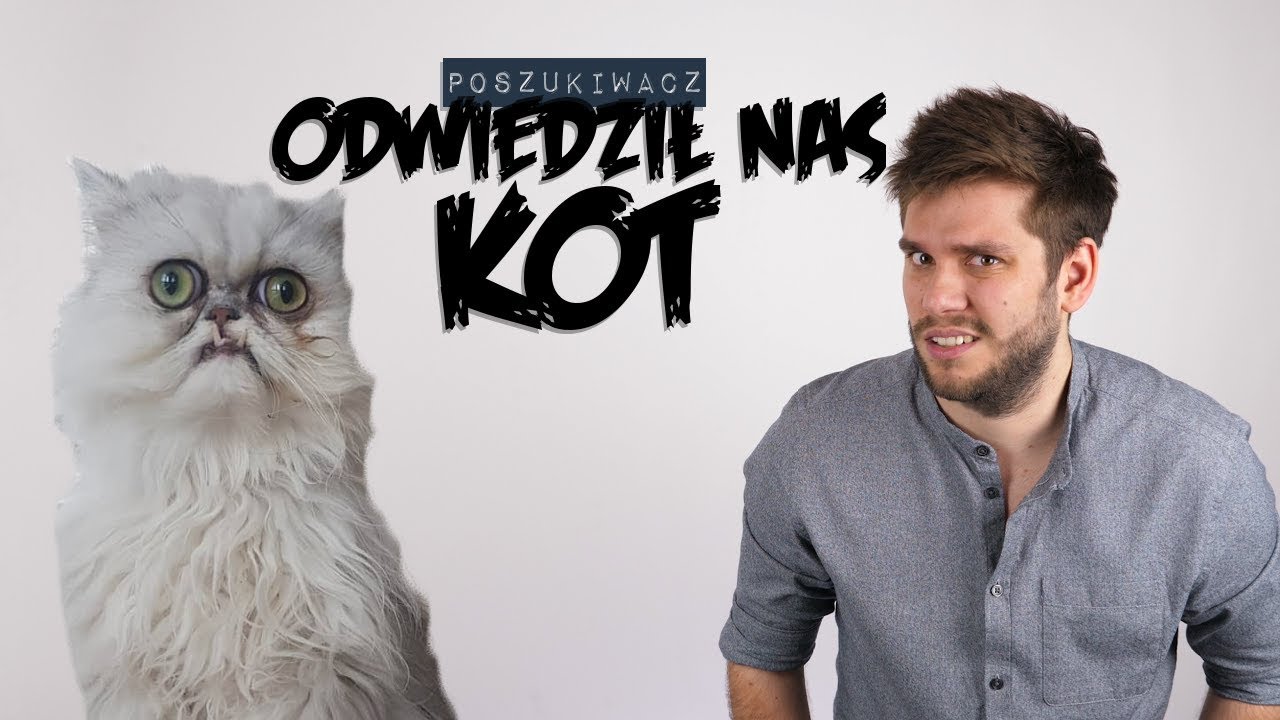 ODWIEDZIŁ NAS KOT | Poszukiwacz #370