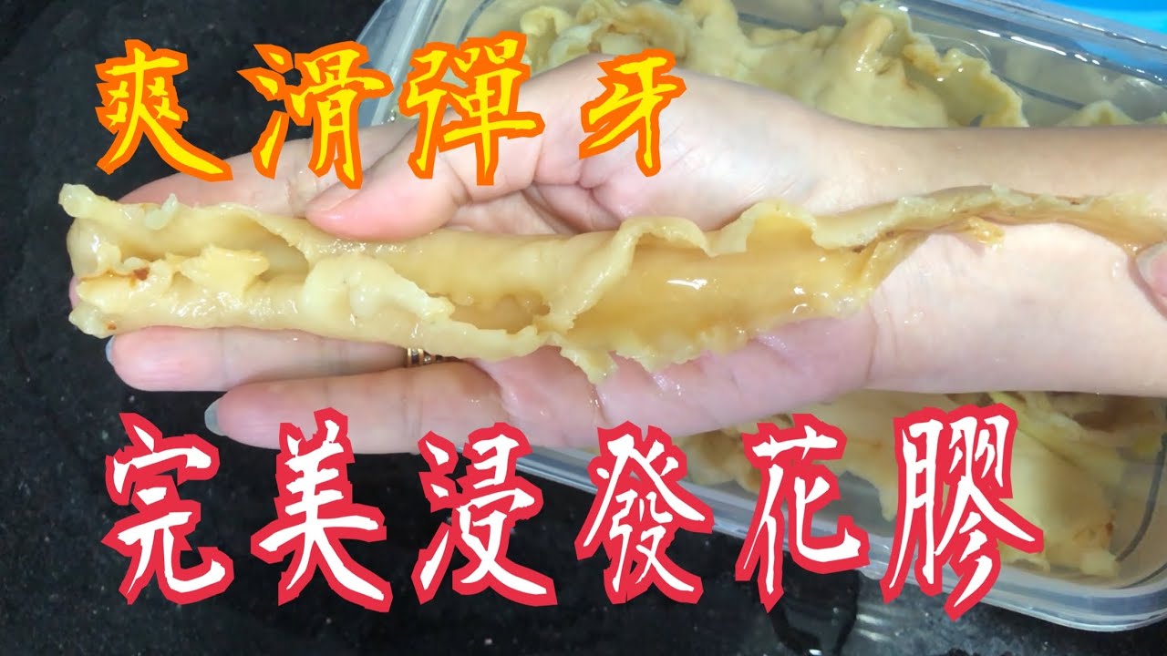 《完美浸發花膠｜蒸焗法》💯 不會浸發過度 鱈魚膠🥰 ￼彈牙爽滑👍🏻 How to deal with Fish Maws ?