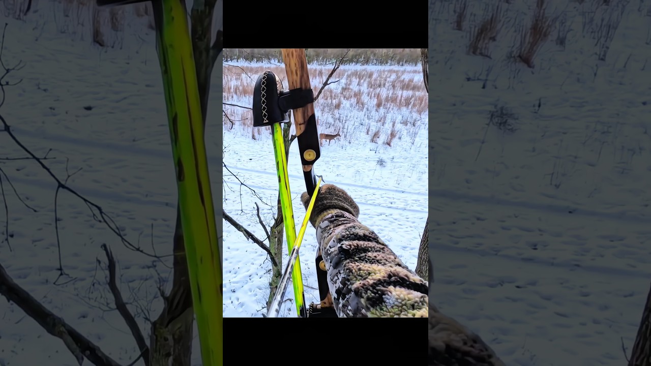 hunting whitetail deer at close range with bow #bucks #archery #bowhunting #whitetailhunting #bow