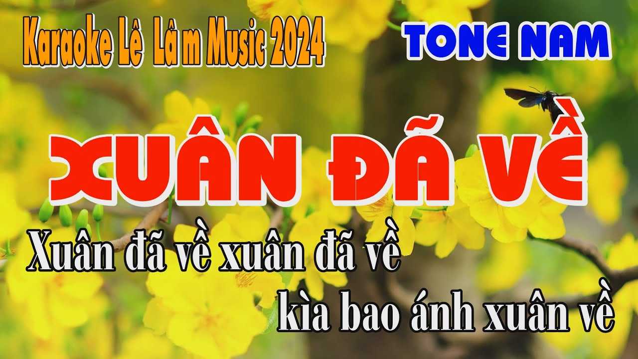 Karaoke Xuân Đã Về Tone Nam - Lê Lâm Music