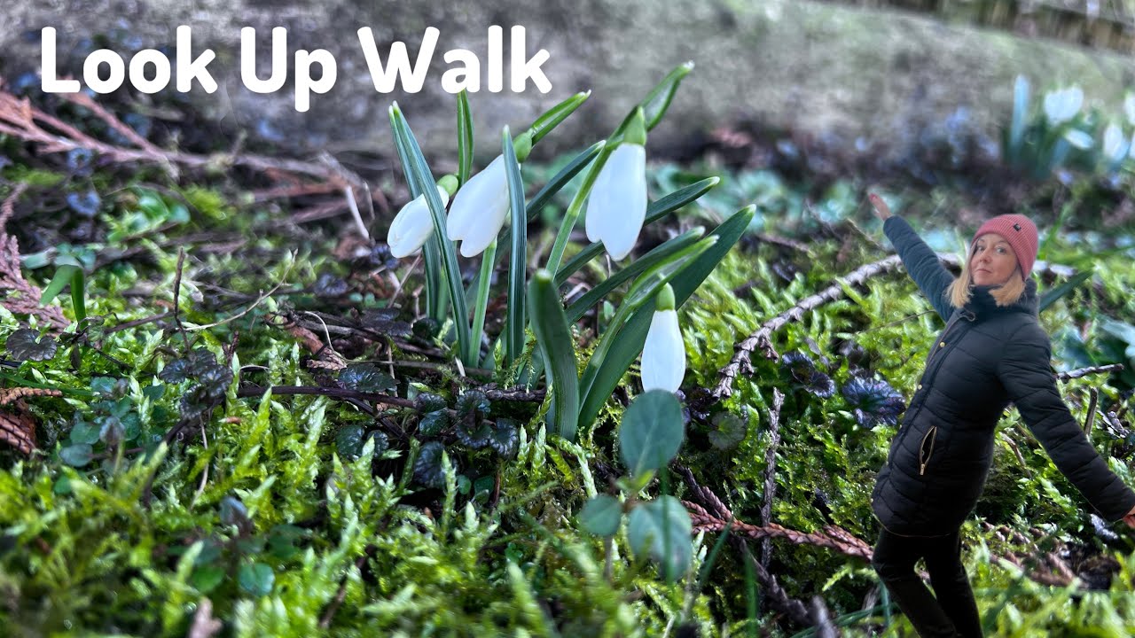 Look Up First Spring Walk/Mist Amazing Clouds and Landscaping #happiness #walking #moodboost 