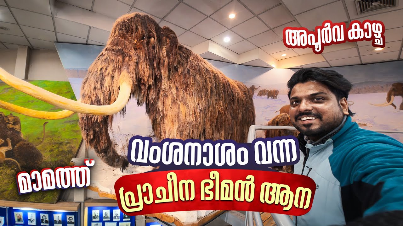 ഭൂമിയിൽ ജീവിച്ചിരുന്ന മാമത്തുകൾ | Mammoth Museum in Yakutsk | സൈബീരിയ #11