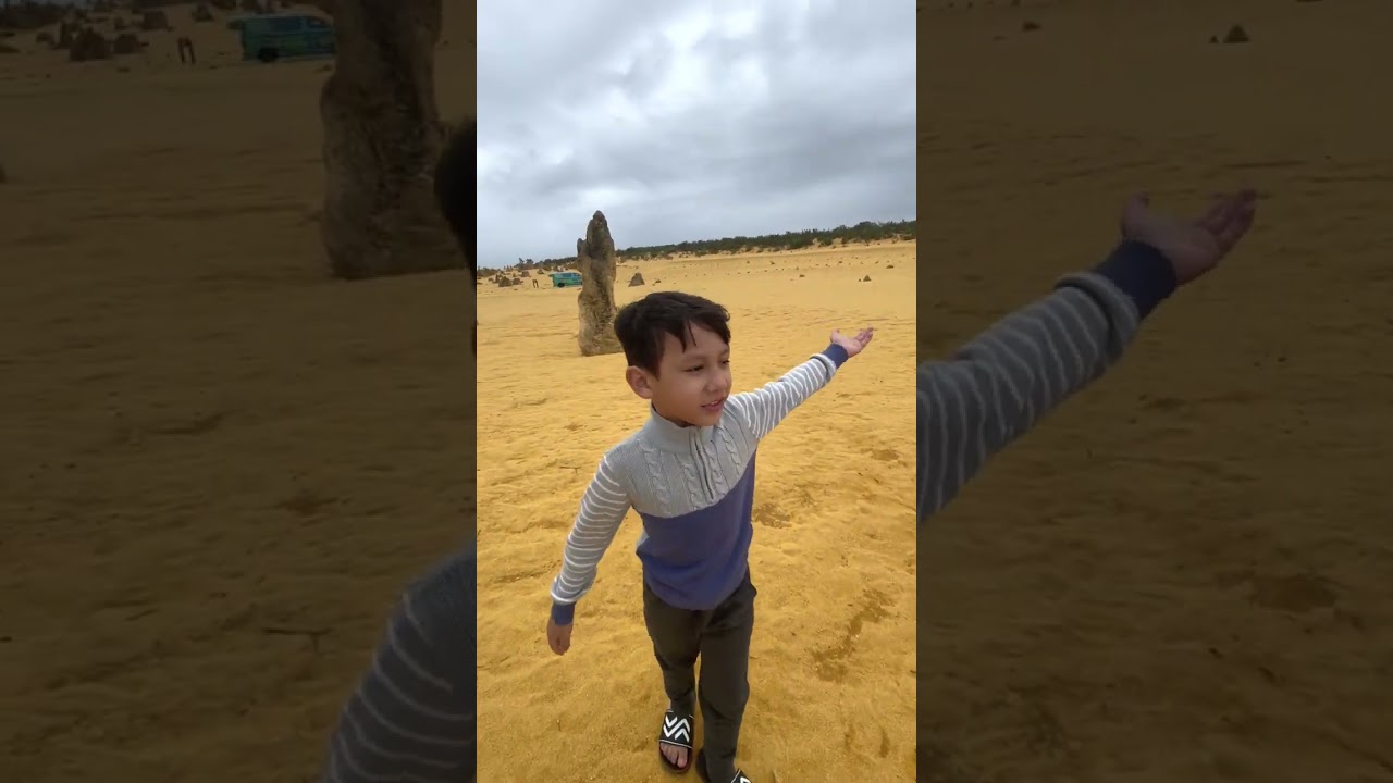 Pinnacles Desert Tour