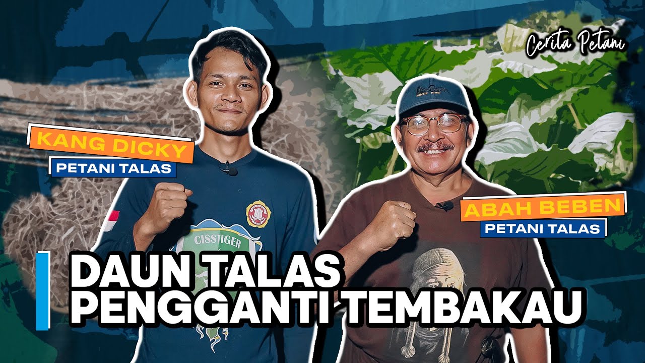 Cerita Petani Eps. 1 | MENGOLAH DAUN TALAS KERING UNTUK di EKSPOR