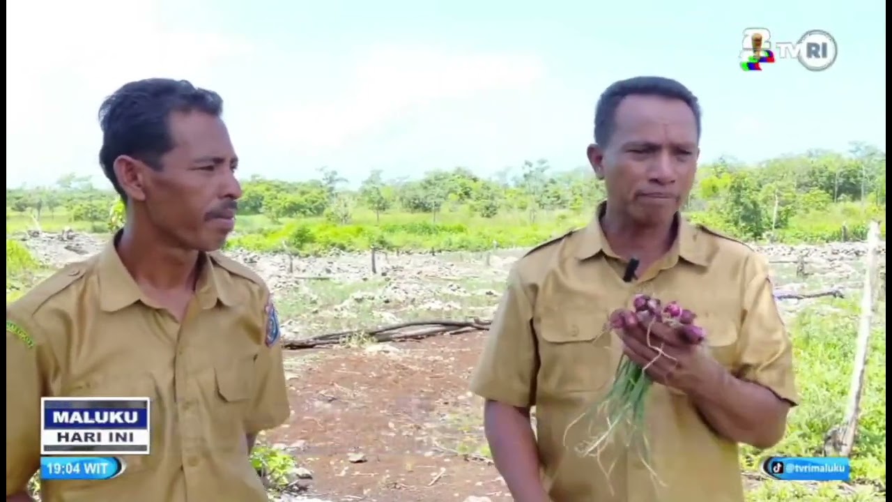 KELOMPOK PEMBERDAYAAN BAWANG MERAH DI FURSUY HASILKAN PULUHAN TON SAAT PANEN