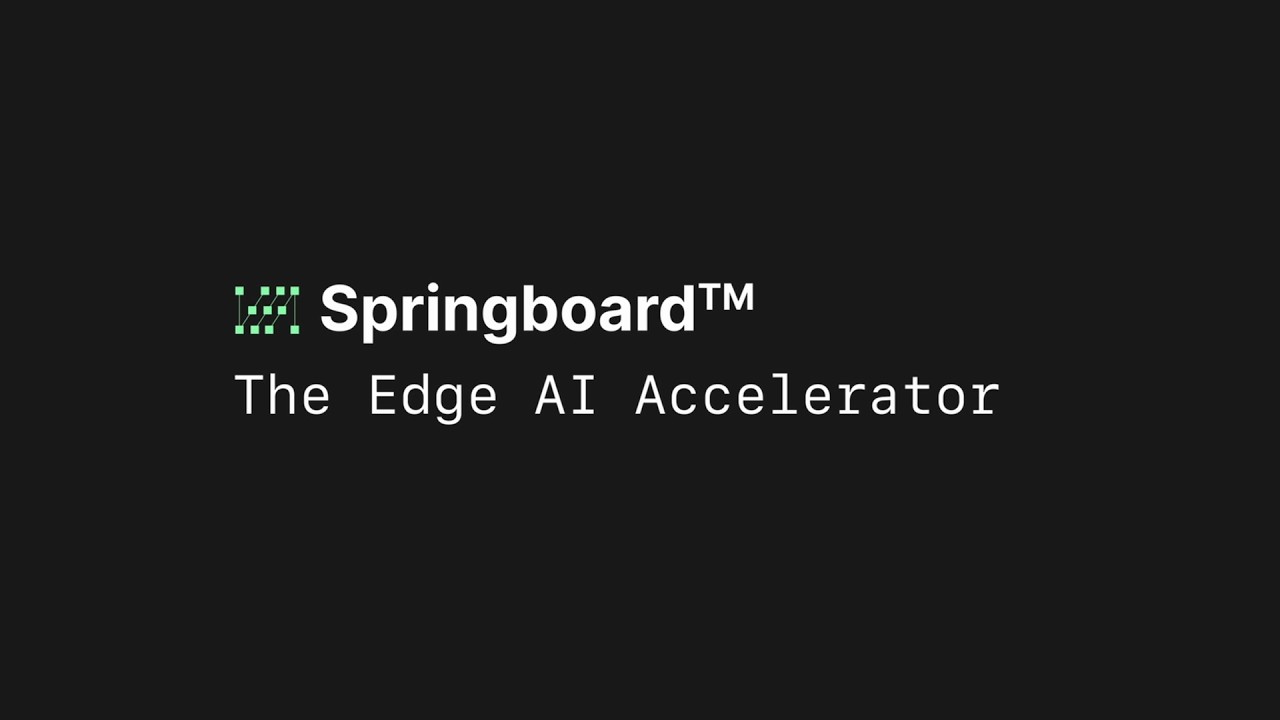 NS Springboard™ | The Edge AI Accelerator