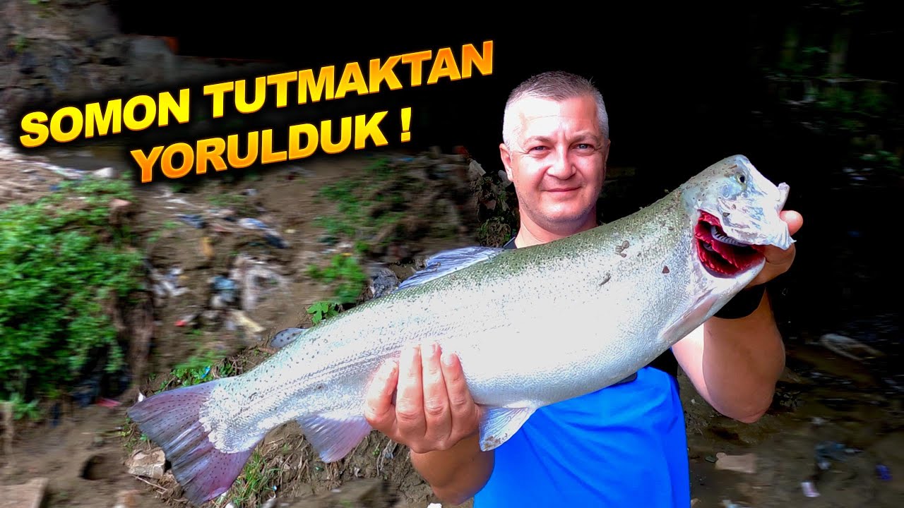 DEREDE Kİ SOMONLAR ŞAŞIRTTI ! SOMON AVI - SAMSUN SOMON AVI - LRF SOMON AVI - MEPPS İLE SOMON AVI