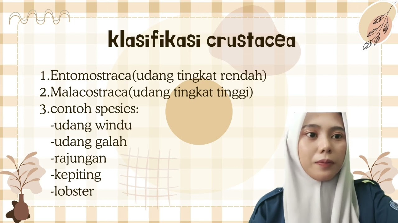 TUGAS RANGKUMAN PENANGANAN DAN PENGOLAHAN HASIL PERIKANAN CRUSTACEA DAN MOLLUSCEA(NURUL MUDARAH)