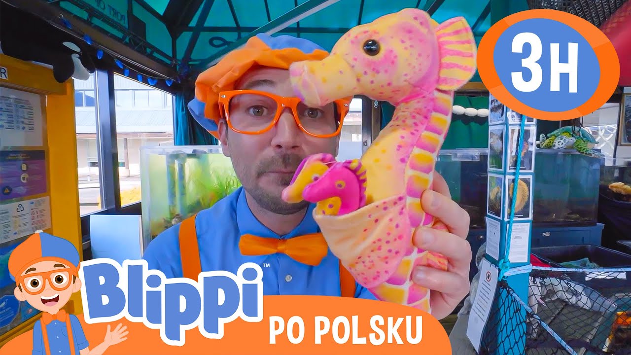 Blippi spotyka morskie stworzenia📙Blippi po polsku📙Nauka i zabawa dla Dzieci