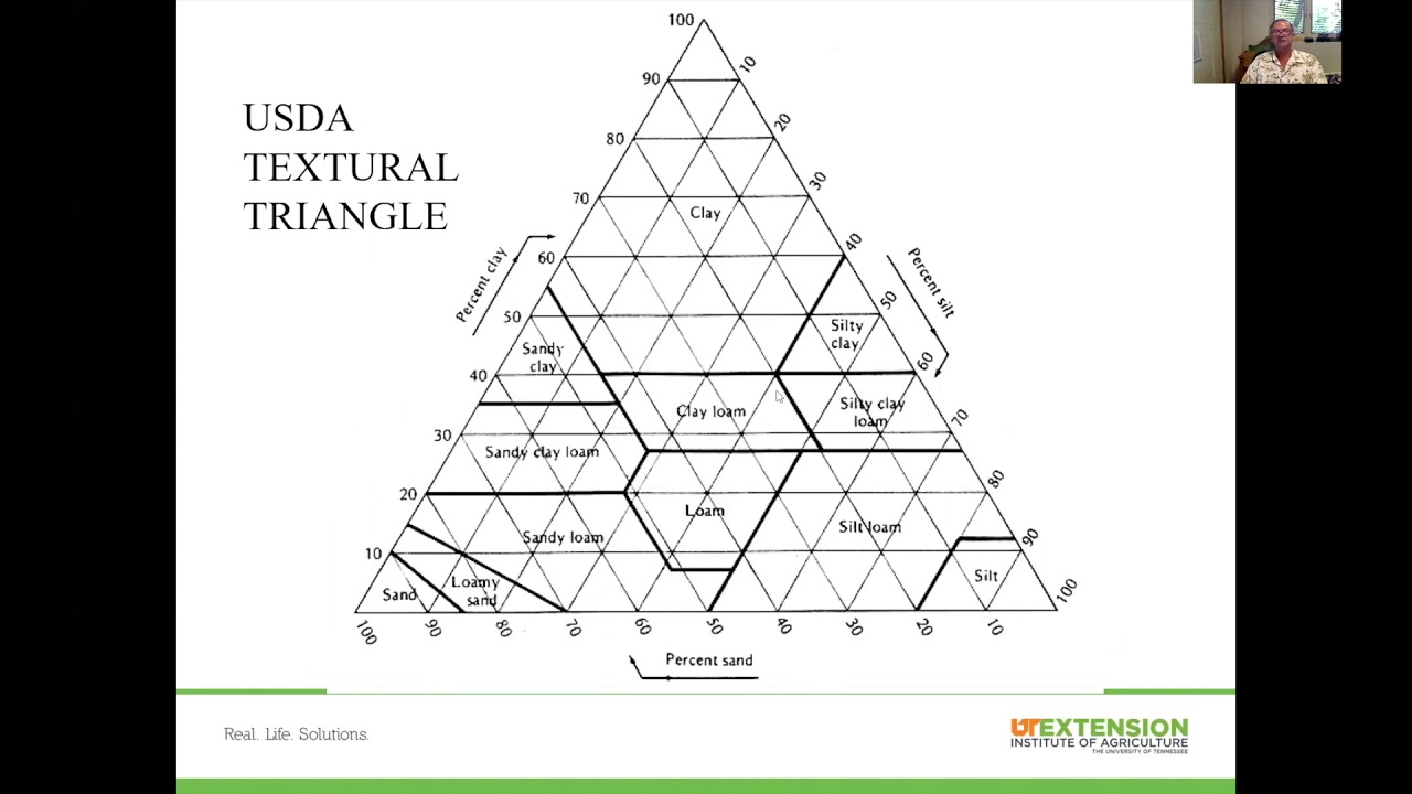 Understanding Soil: The Basics