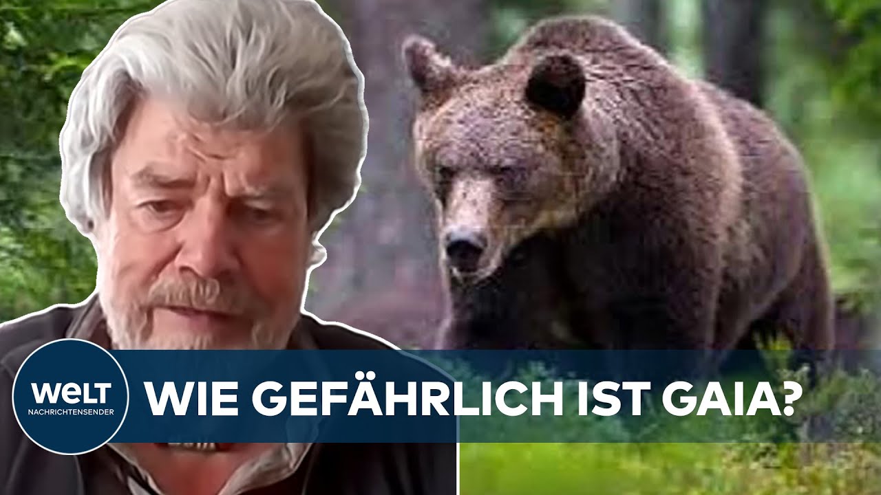 PROBLEMBÄR GAIA: 