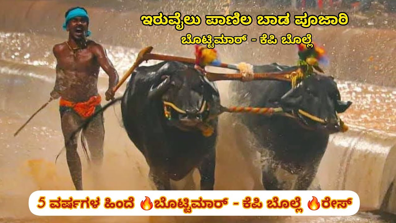 🔥5 years ago ❤️ಬೊಟ್ಟಿಮಾರ್ - ಕೆಪಿ ಬೊಲ್ಲೆ❤️race💥 in ವೇಣೂರು ಕಂಬಳ