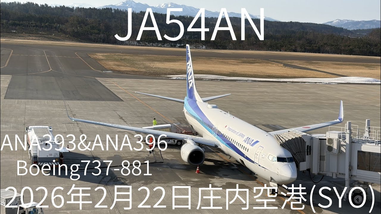 庄内空港(SYO) ANA393&ANA396便 JA54AN Boeing 737-881