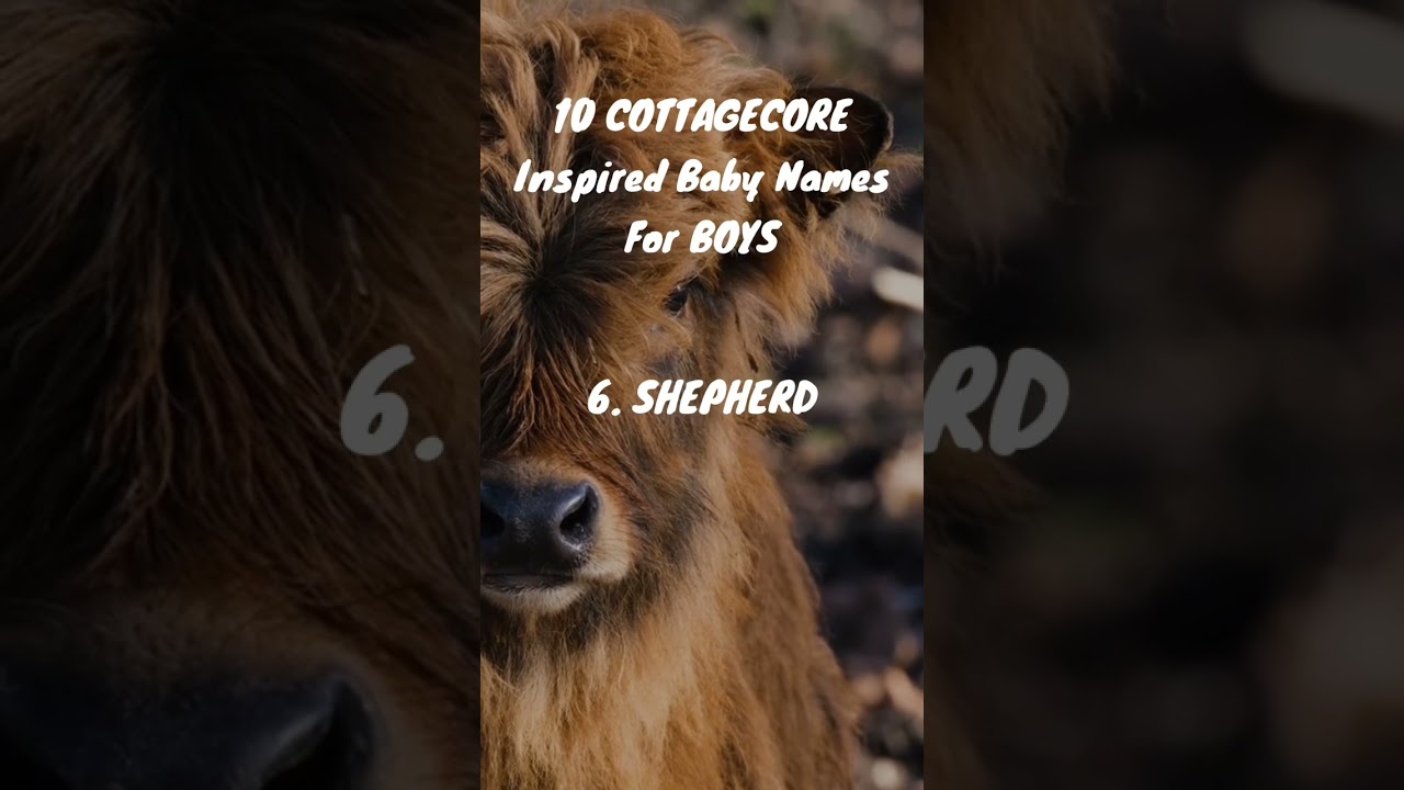 Cottagecore Boy Names are Trending Now #cottagecore #babynameideas