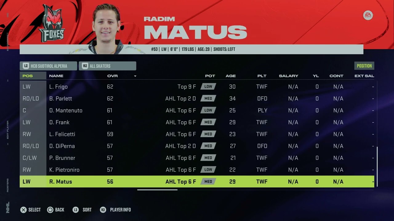 ICE Hockey League Rosters - NHL 24
