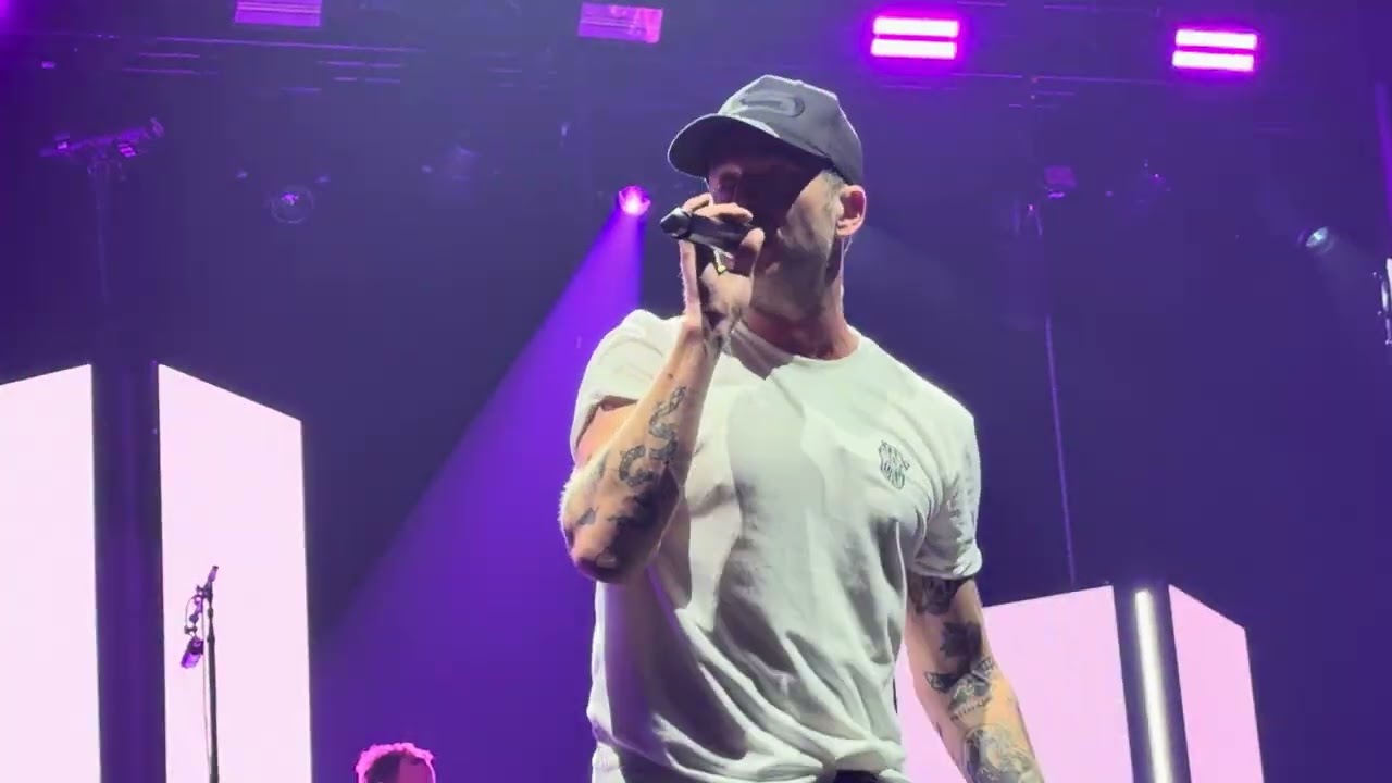 OneRepublic - Secrets (Live) 4K