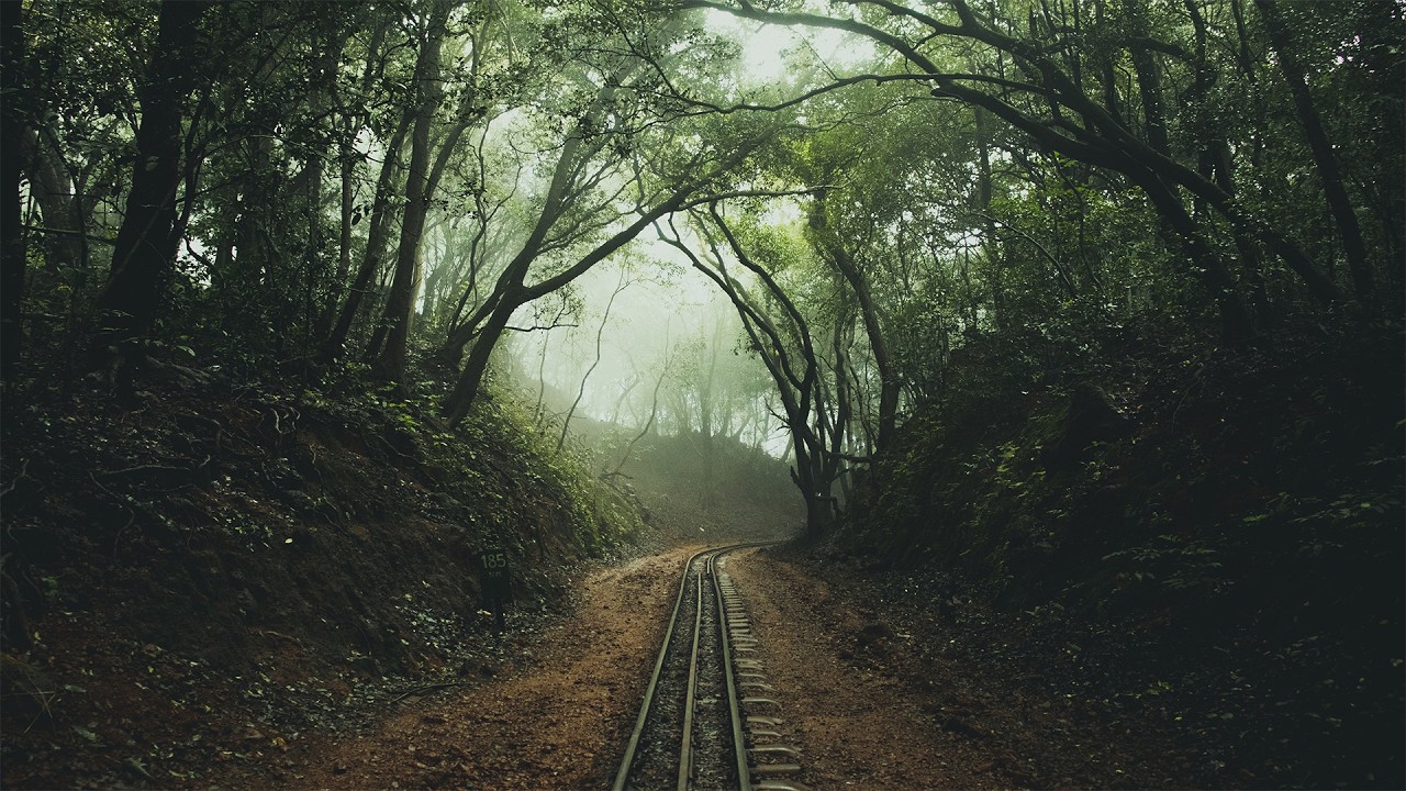 34 Minutes of Relaxing Nature Photography