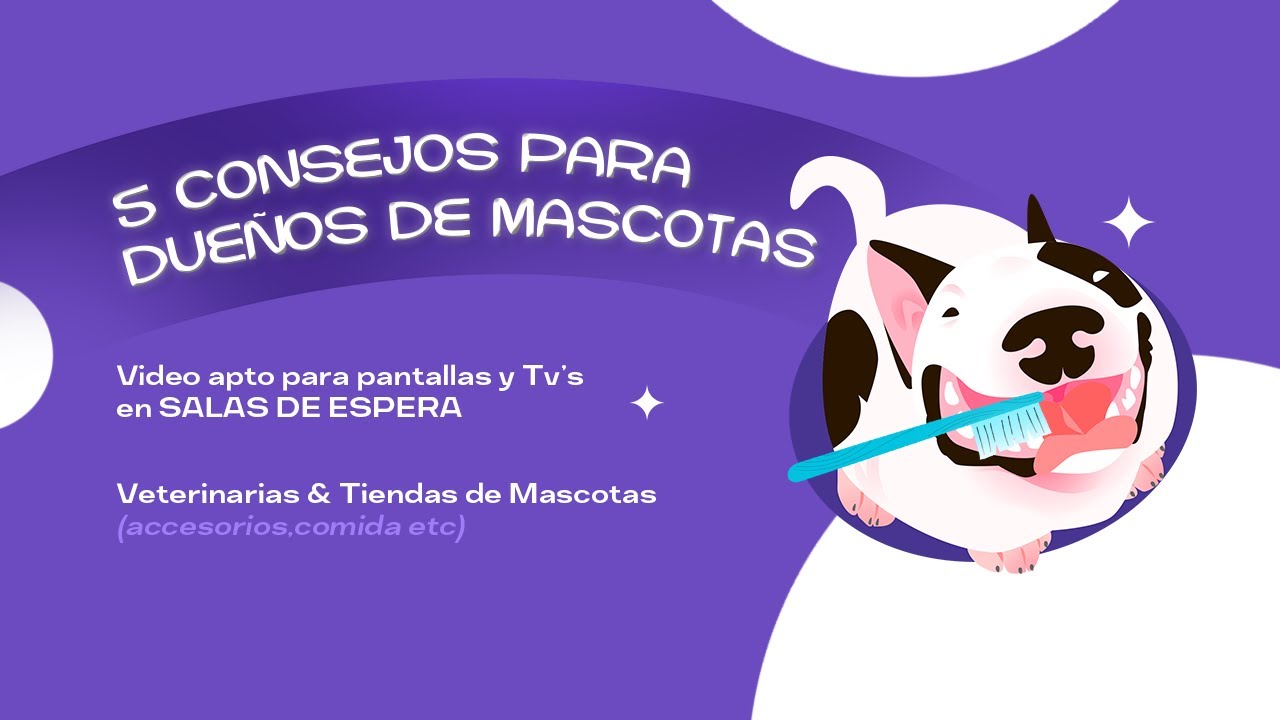 5 Consejos para Cuidar Mejor a Tu Mascota 🐾 | Tips Veterinarios