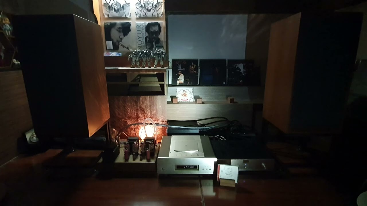 When I Fall In Love - Ben Webster | Live Stage Presence | Spendor BC3 EL156 CD Room
