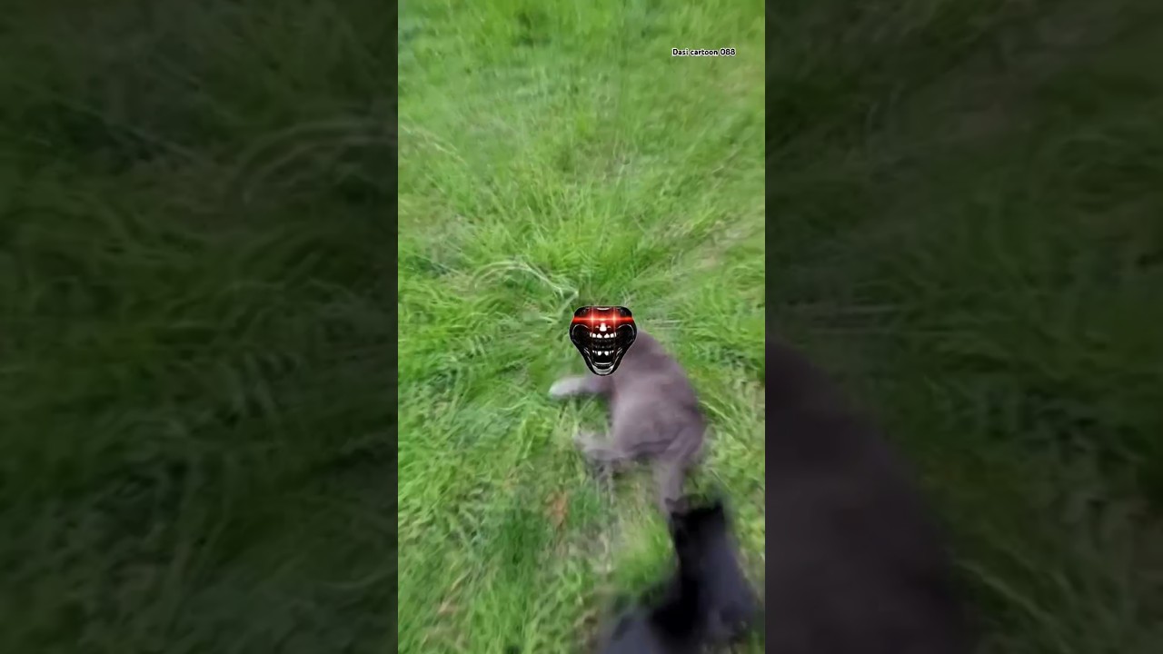 new cat short fanny Troll face tending 😱 #shortvideo#funny#new#cat#short#jook