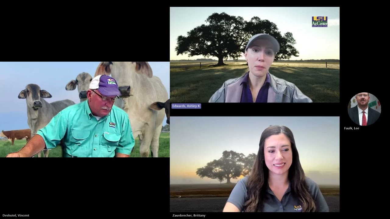 Beef Brunch News Update – October 28, 2025