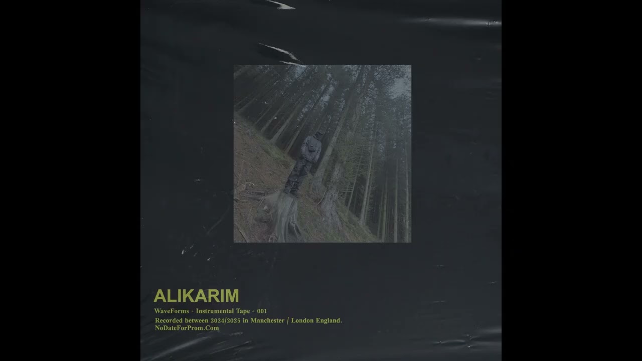 Ali Karim - Waveforms - Instrumental Tape - 001