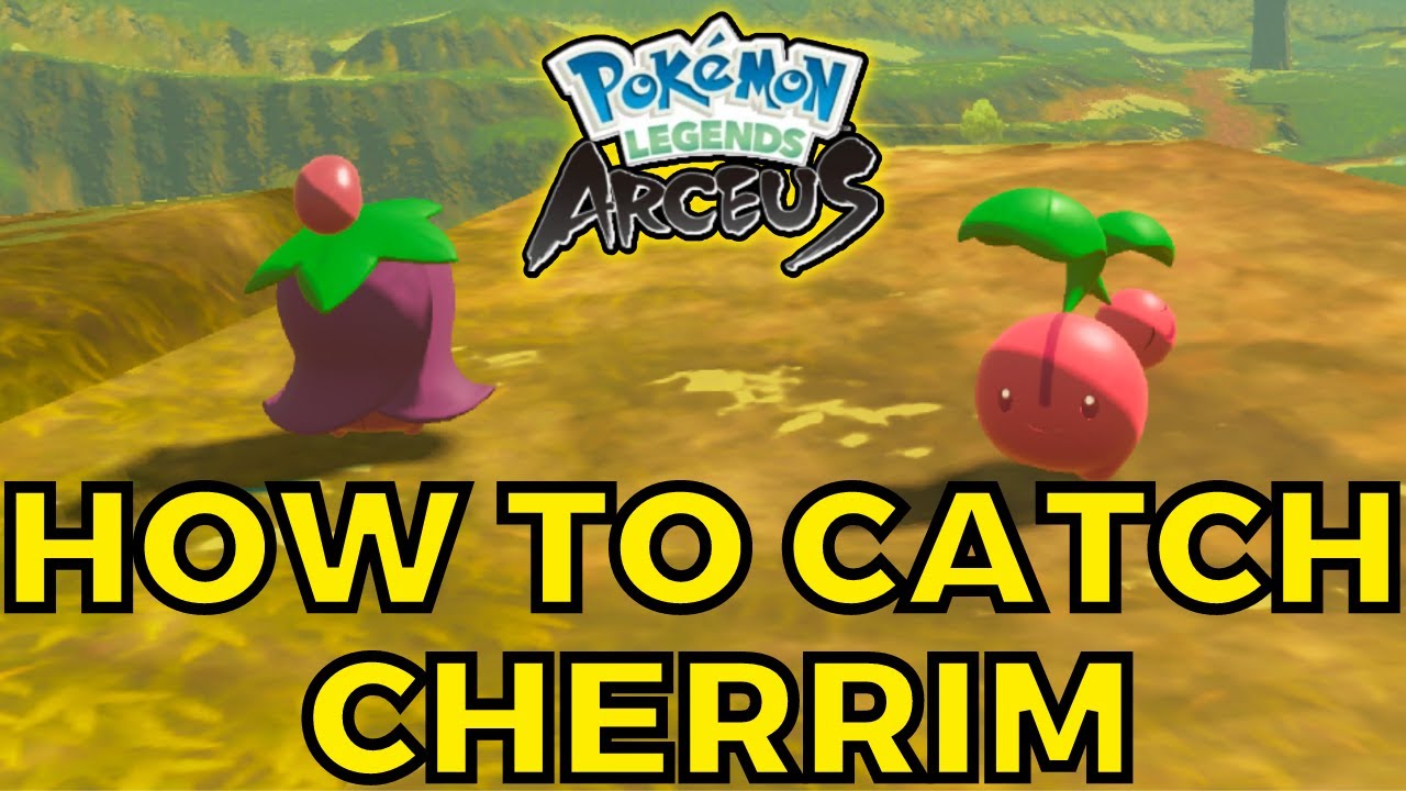 Как поймать Черрим! Побочный квест 17 | Расцветать или нет? Pokemon Legends Arceus