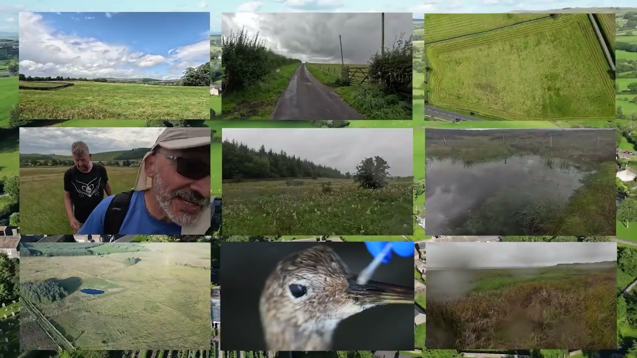 The Curlew Way - 16mins