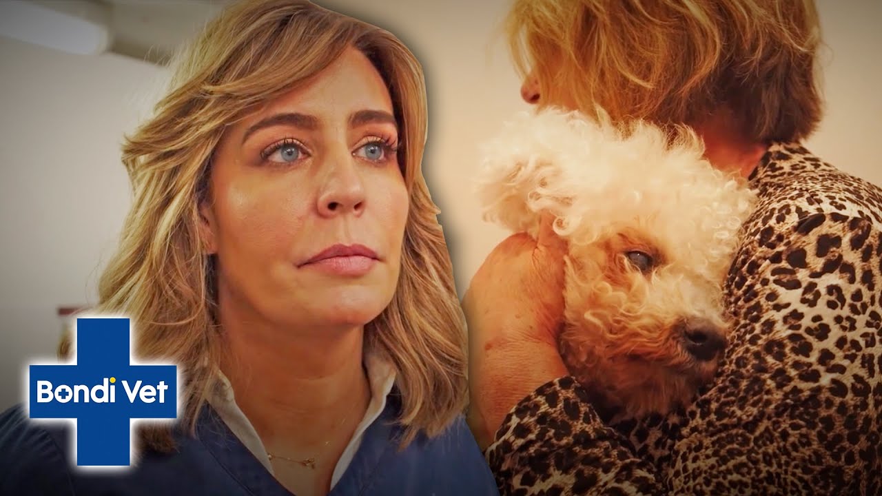 Dr Kate Adams Can't Help 17 Year Old Dog And Makes A Tough Decision | Full Episode | E27 | Bondi Vet