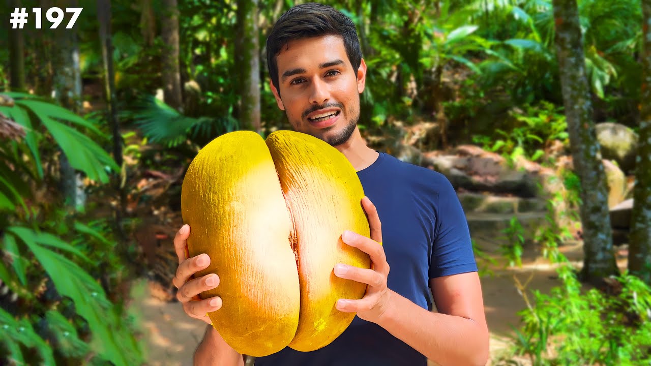 This is World's Biggest Nut! (Only found on Rare African Island)