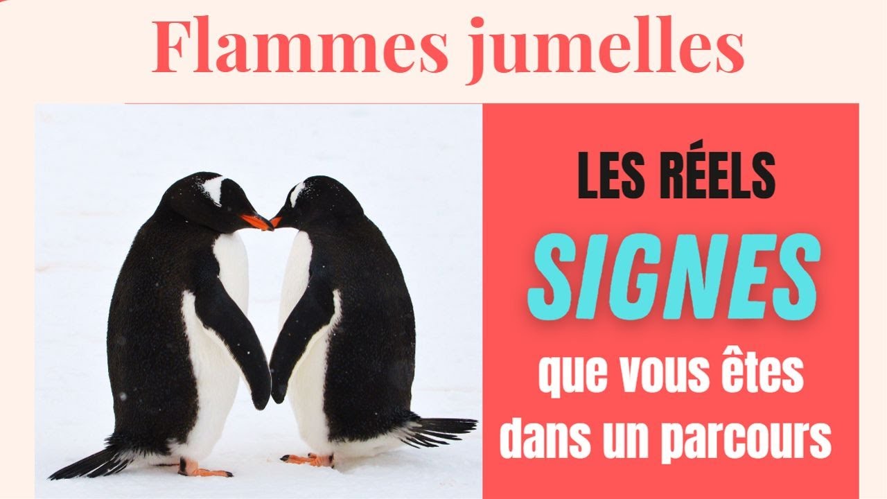 Les réels SIGNES que vous êtes dans le parcours Flammes jumelles