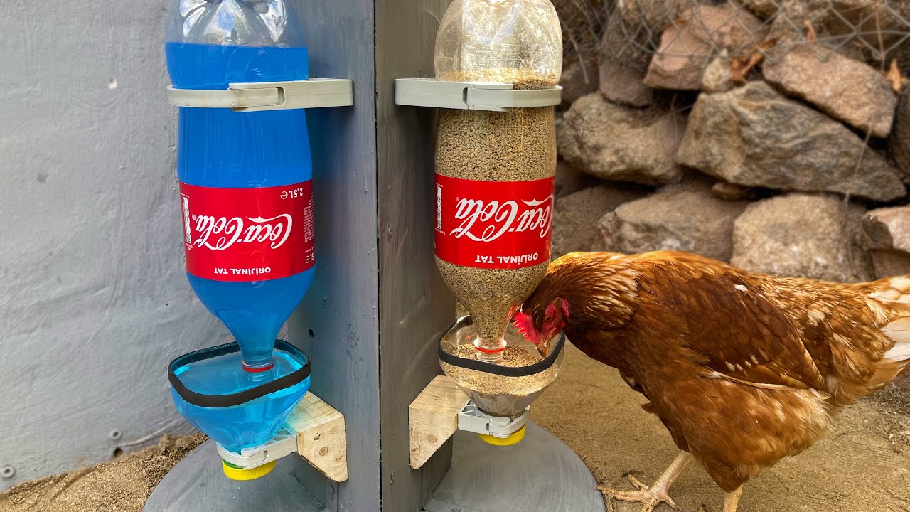 CREATIVE IDEAS | 2.5 Litre Coca Cola Şişesi ile Tavuk Yemlik ve Suluk Yapımı