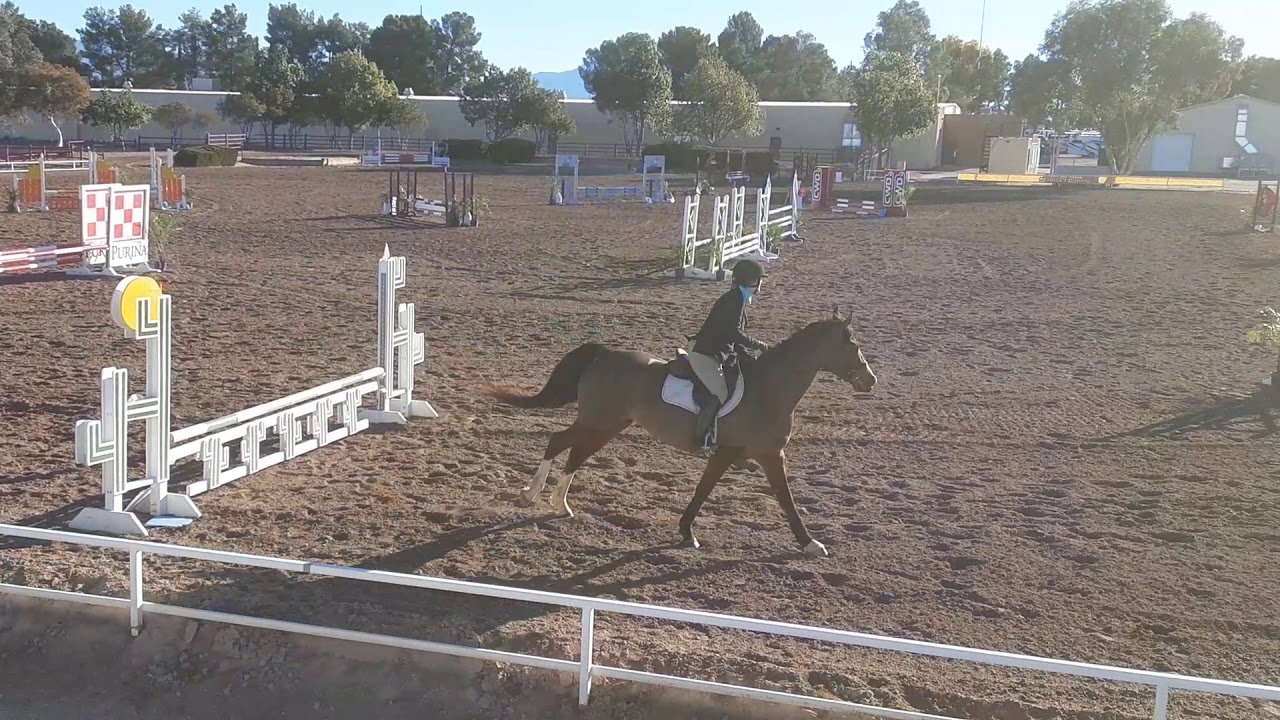 Xena with Tamara .70, a 2105 mare by Derringer and out of an Alla Czar mare